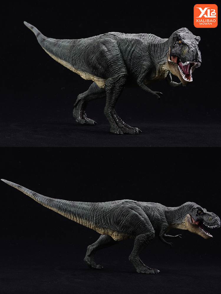 Prehistoric Jurassic Tyrannosa - đánh giá và giá Kids Toys Packaging