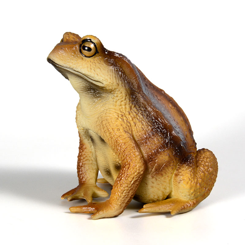 Amphibian Frog Figure Insect M - đánh giá và giá Kids Toys Packaging
