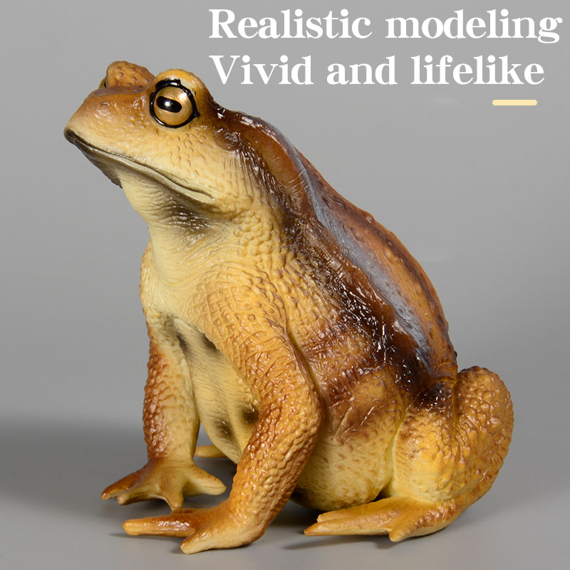 Amphibian Frog Figure Insect M - đánh giá và giá Kids Toys Packaging