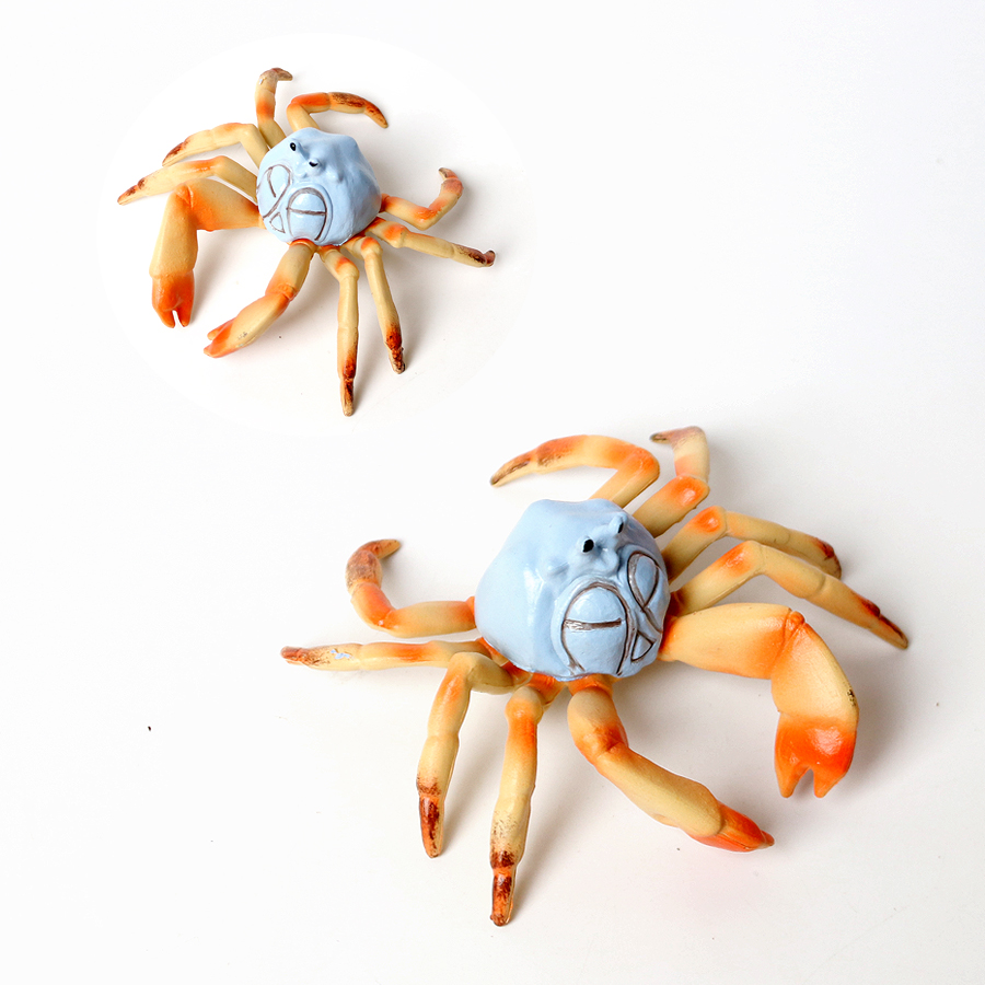 Realistic Ocean Animals Hermit - đánh giá và giá Kids Toys Home