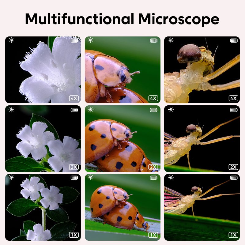 Mini Kids Optical Microscope W - đánh giá và giá Toys For Kids Video