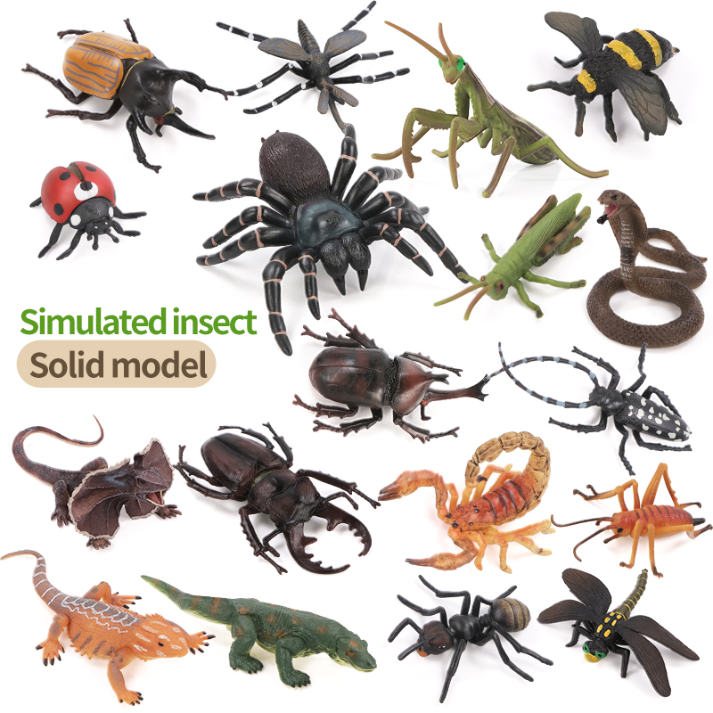 Educational Simulation Insect  - đánh giá và giá Kids Toys Packaging
