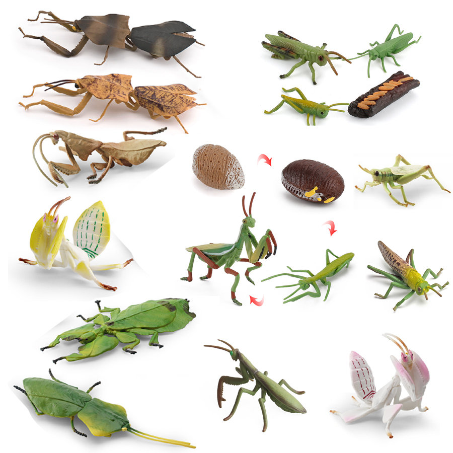 Realistic Orchid Mantis Dead L - đánh giá và giá Kids Toys Home