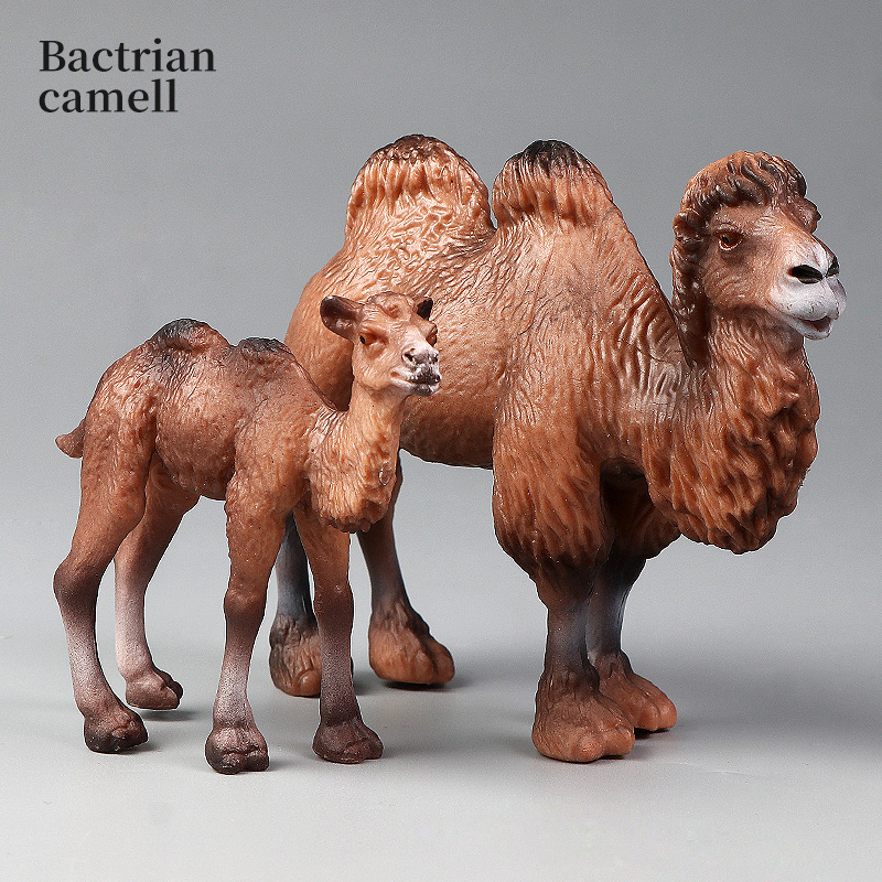 New Wildlife World Solid Simul - đánh giá và giá Kids Toys Packaging